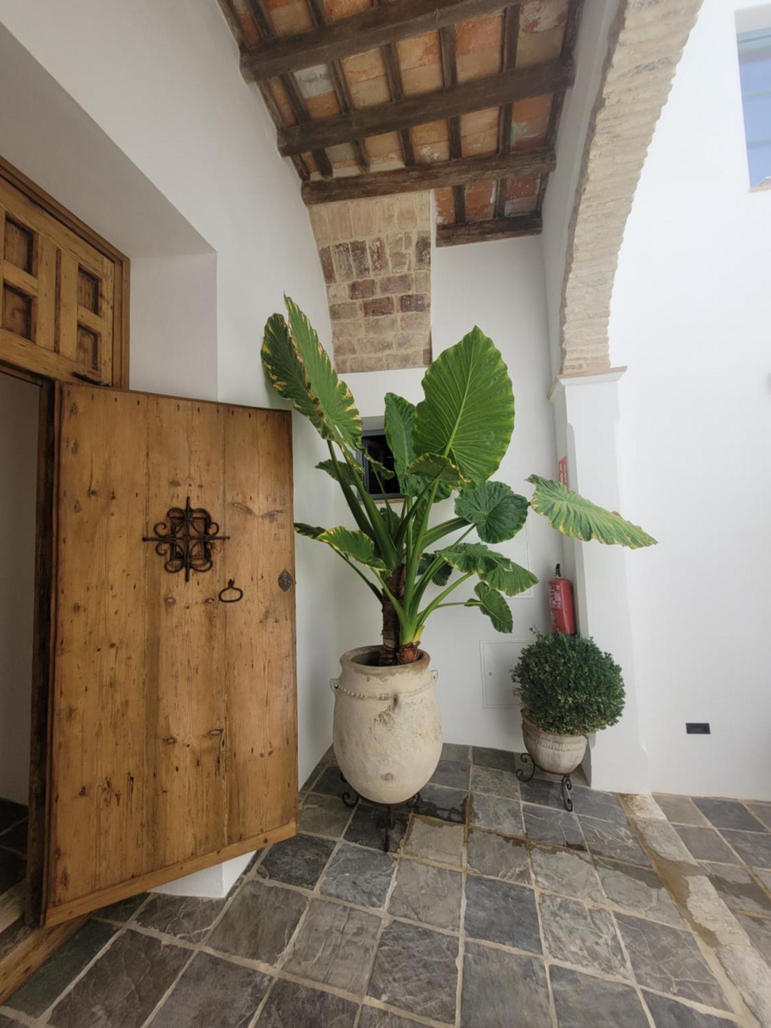 Appartamento Casa Del Museo - Agua Medina-Sidonia Esterno foto